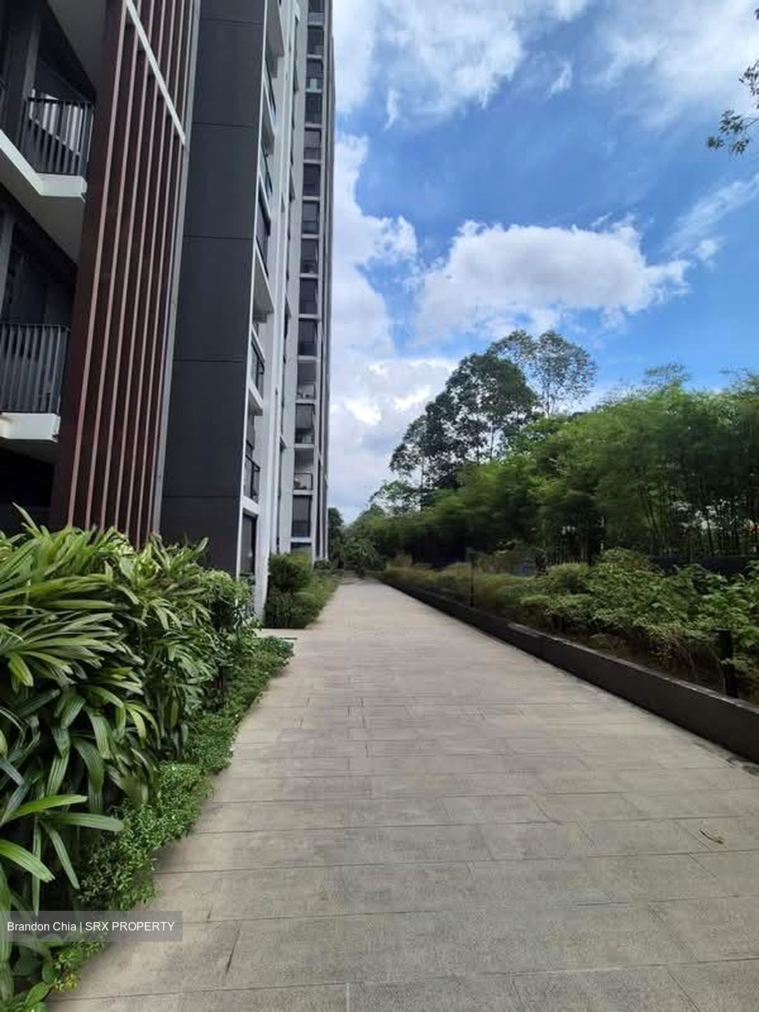 Botanique At Bartley (D19), Condominium #587620391